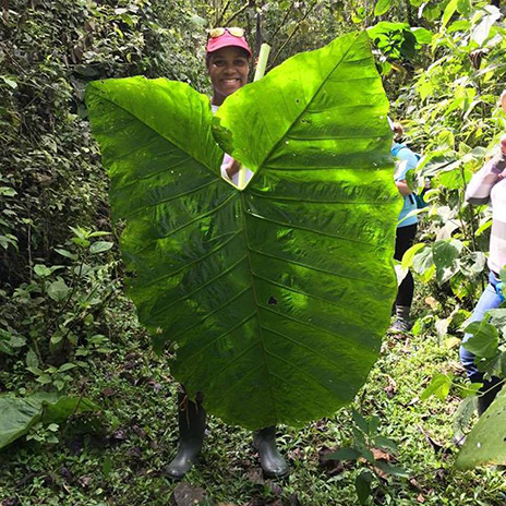 Tia Paulette holding a giant leaf in Ecuador.