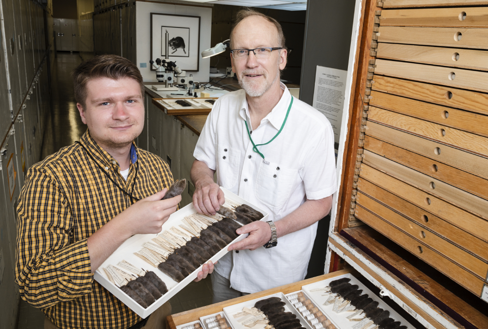 Alec Wilken and Neal Woodman conduct research.